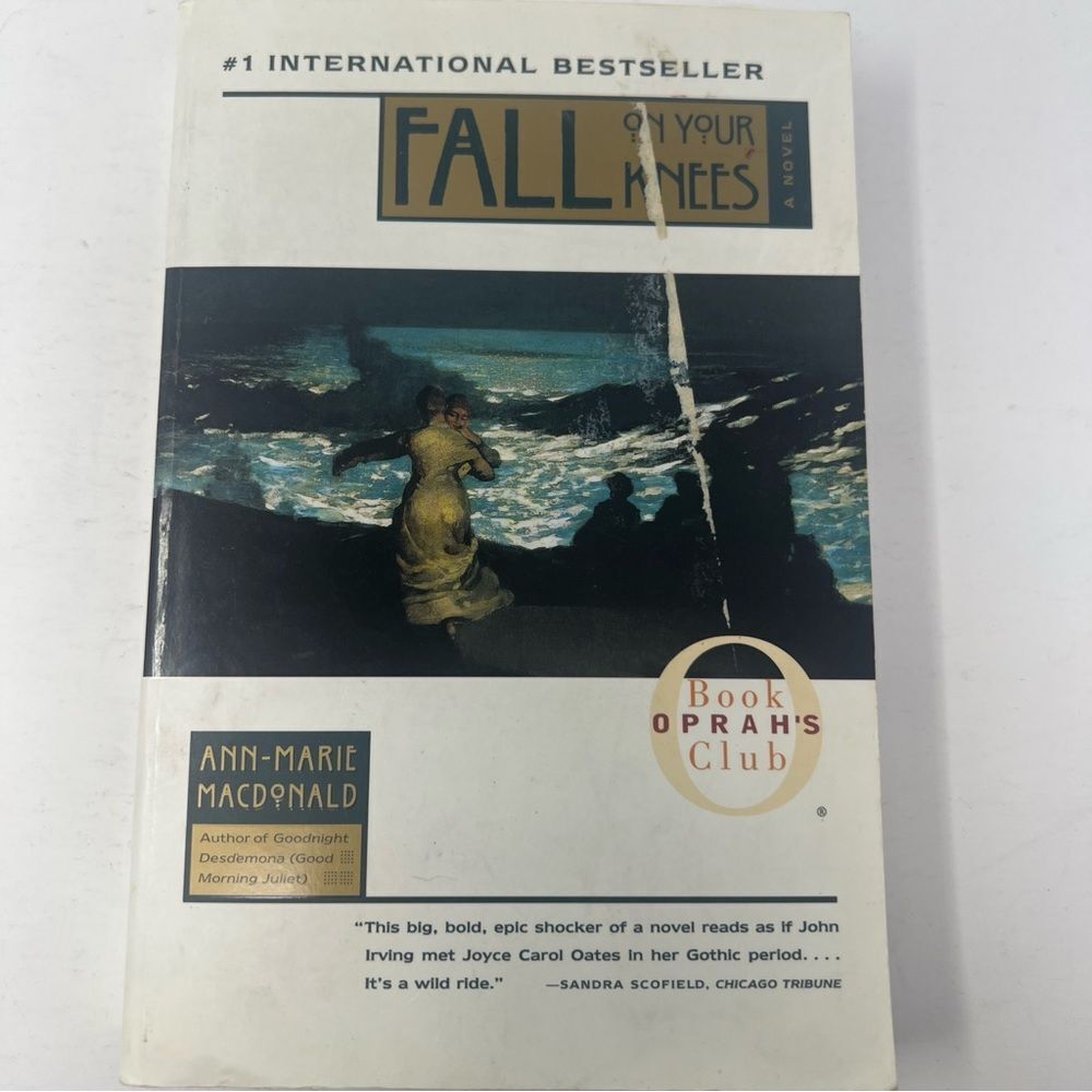 10 items for $20 Sale: Fall On Your Knees Book